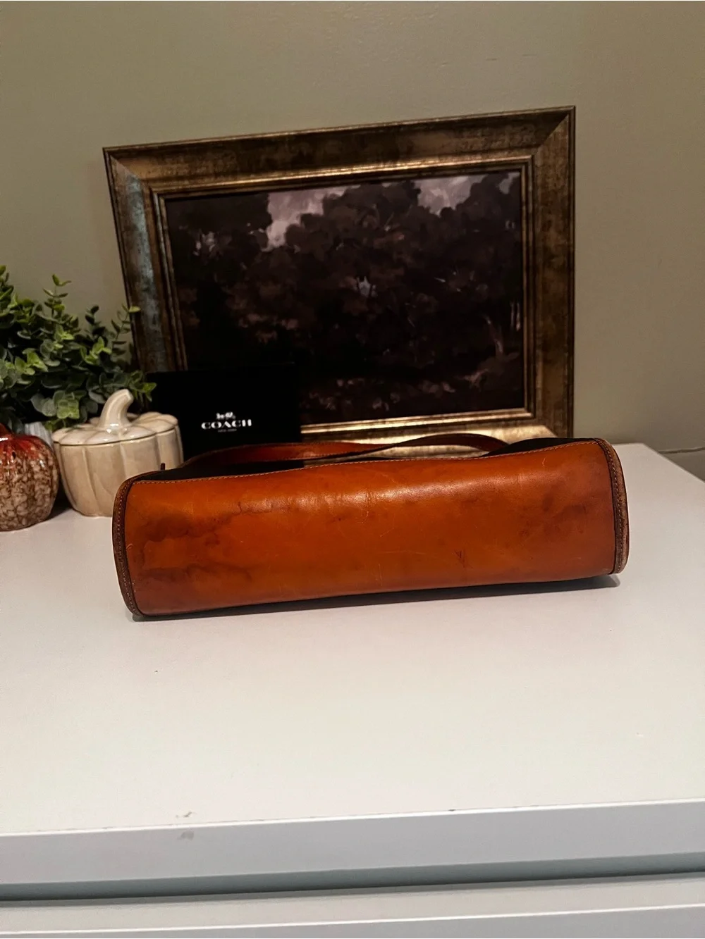 Dooney & Bourke Black and Brown Pebbled Leather Messenger Bag